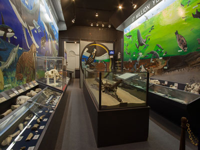 Native American fossil art at the Aurora Fossil Museum