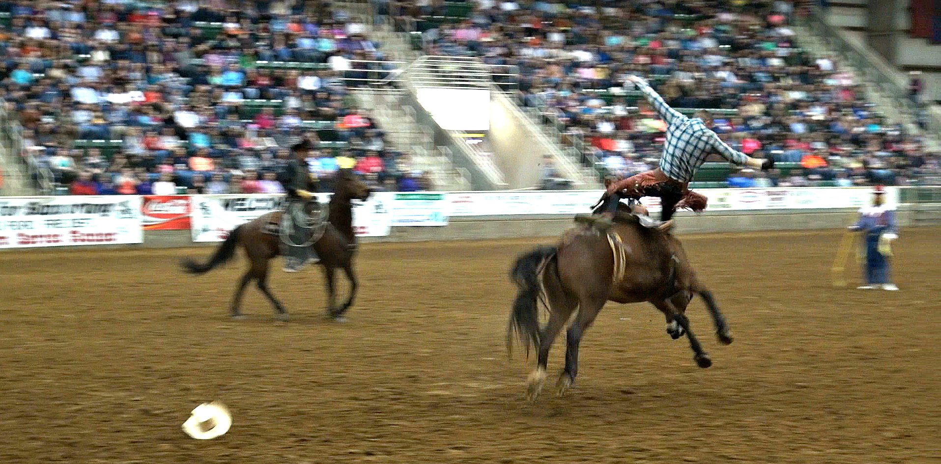 BRONCO, Sen. Bob Martin Eastern Agricultural Center, a premiere equestrian show facility