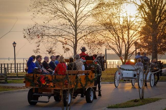 Christmas Carriages in Edenton