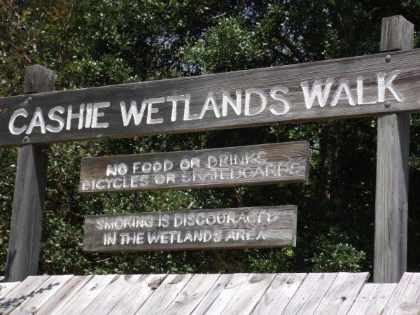 Cashie wetlands walkway, Windsor NC