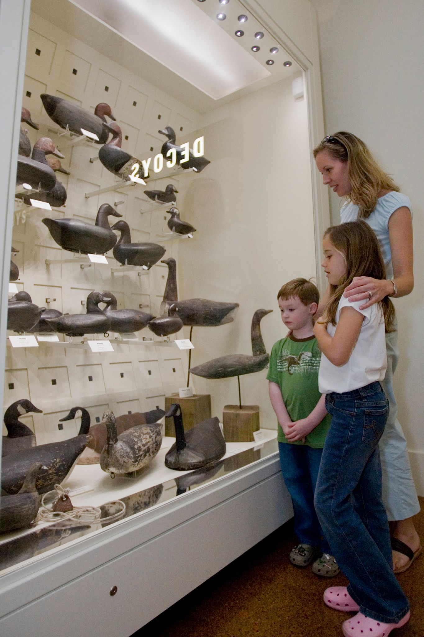 Wildlife education center in historic Corolla